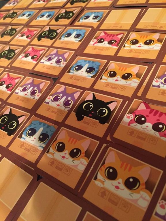 Cat Box cartes