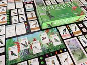 Wingspan: Americas Expansion cards