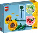 Sonnenblumen rückseite der box