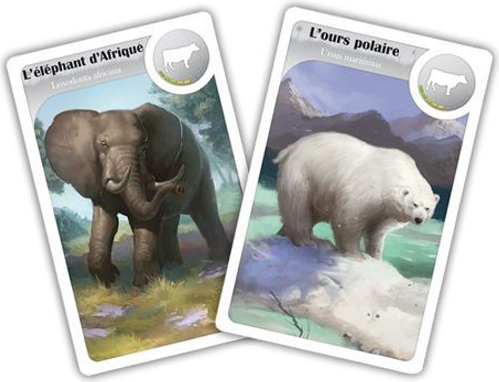 Cardline: Animals cards