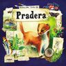 Pradera