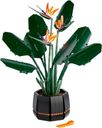 LEGO® Botanicals L’oiseau de paradis composants