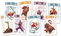 Dojo cards