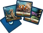Atoll tiles
