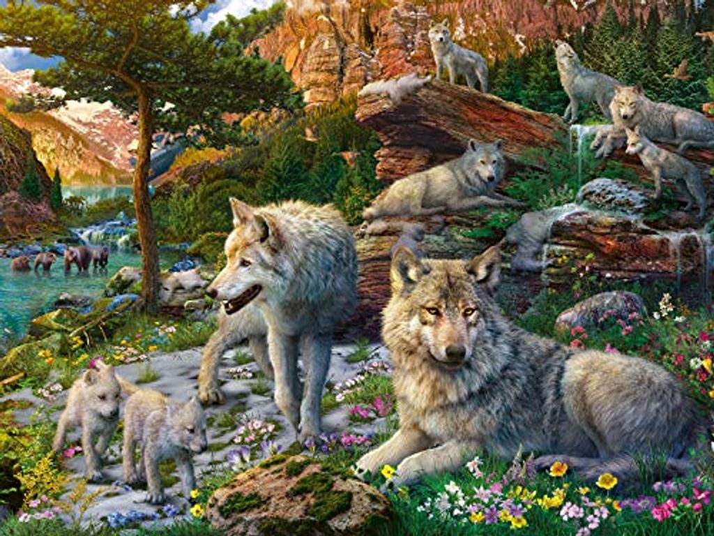 Wolves in the Spring