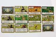 Talisman: Les Terres de Feu Extension cartes