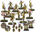 Blood Bowl (2016 edition): Athelorn Avengers – Wood Elf Blood Bowl Team components