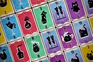 Purrfect Place cards