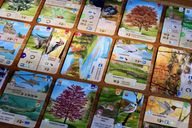 Forest Shuffle: Smoky Mountains cards