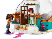 LEGO® Friends Aventura en el Iglú partes