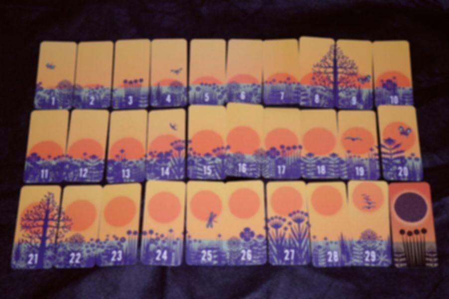 Sky Tango cards