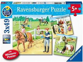 3 puzzles - A day at the horse stable