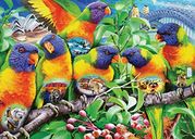 Land of the Lorikeet