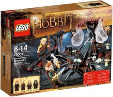 LEGO® The Hobbit Ontsnapt aan de Spinnen van Demsterwold