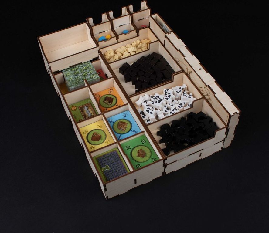 Fields of Arle: Laserox Arle's Organizer box