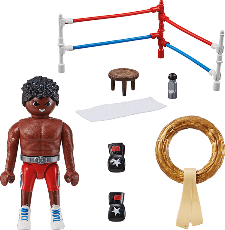 Boxing Champion components