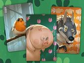 Similo: Animals cards