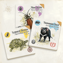 In the Footsteps of Darwin: Correspondence components