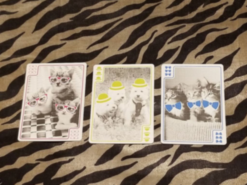 You Gotta Be Kitten Me! kaarten