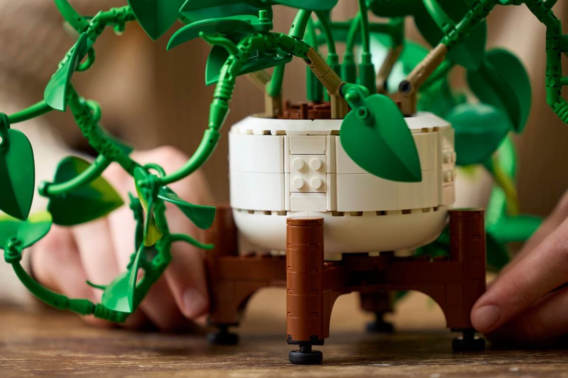LEGO® Botanicals Hanging Golden Pothos