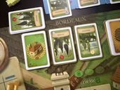 Viticulture: Bordeaux Expansion cards