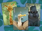 Similo: Wild Animals cards