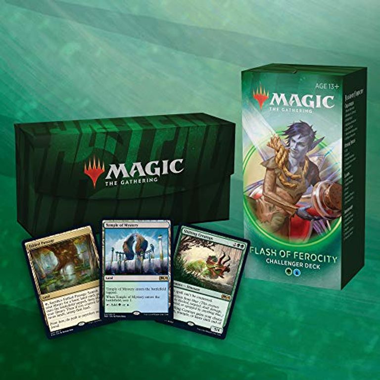 Magic: the Gathering - Challenger Decks 2020 components