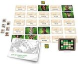 Codenames: Duet componenten