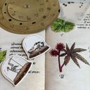 Emerald Echoes components