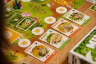 Miller Zoo components