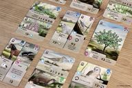Forest Shuffle: Dartmoor cards