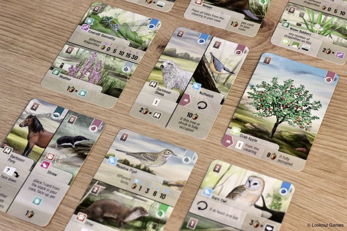 Forest Shuffle: Dartmoor cards