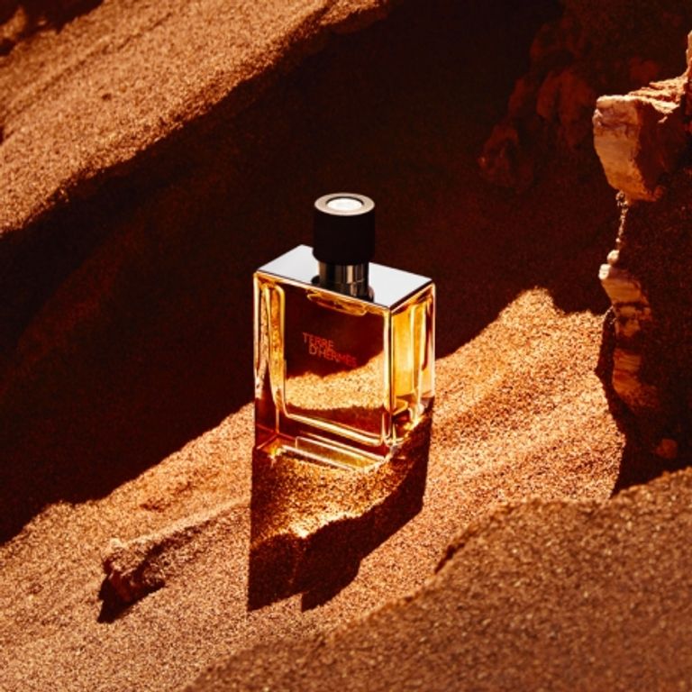 Hermès Terre d'Hermes Eau de toilette