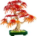 LEGO® Botanicals Bonsai di acero rosso giapponese componenti