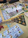 Marrakesh: Gems & Experts componenti`