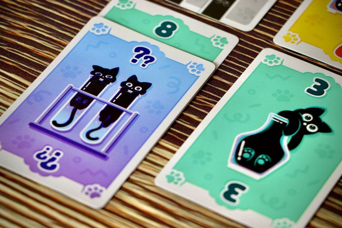Purrfect Place cards