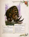 Warhammer Fantasy Roleplay - The Imperial Zoo handleiding