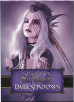 Shadows of Kilforth: A Fantasy Quest Game – Dark Shadows
