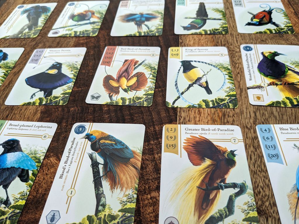 Birdwatcher cartes