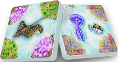 ECO: Coral Reef cases