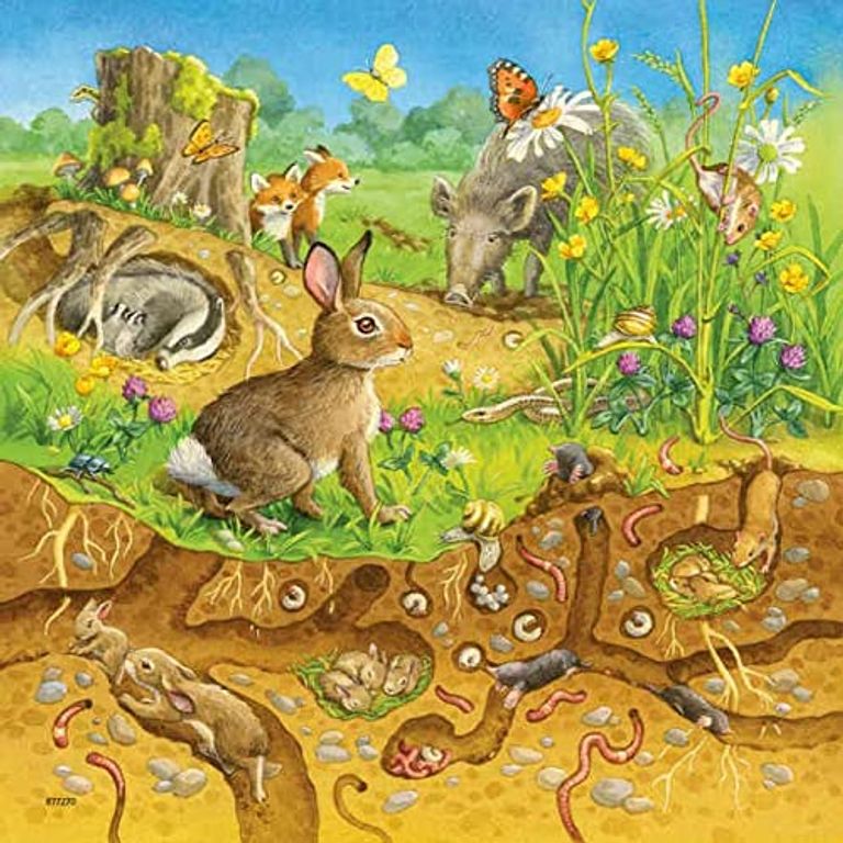 3 puzzles - animals in their habitats