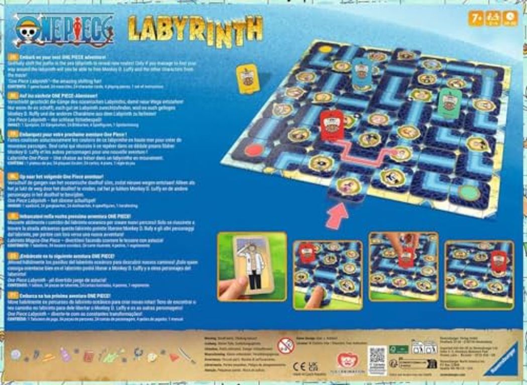 One Piece Labyrinth back of the box