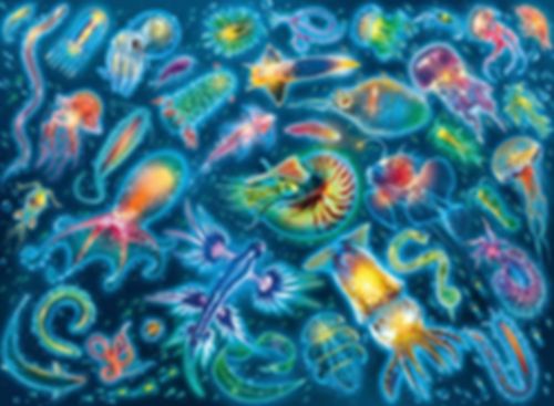 Colourful jellyfish