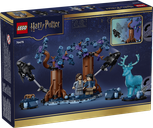 LEGO® Harry Potter™ La Forêt interdite: Expecto Patronum dos de la boîte