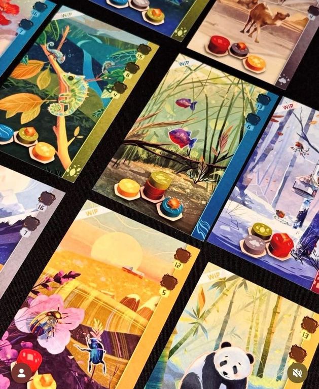 Harmonies: Pulse cards