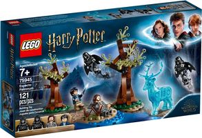 LEGO® Harry Potter™ Expecto Patronum