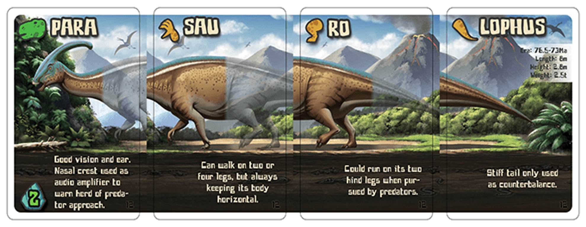 Dinodocus cartes