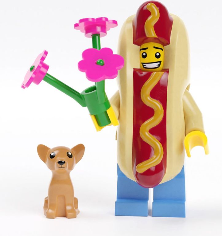 LEGO® Minifigures Biglietti minifigure LEGO: 20 biglietti e buste carte