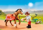 Playmobil® Country Collectible Connemara Pony horses