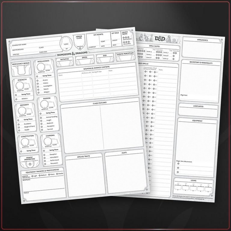 Dungeons & Dragons Character Sheets (2024)